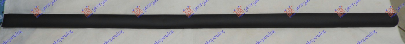 RAER DOOR SIDE MOULDING (O)