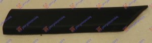 FRONT WING SIDE MOULDING