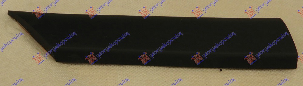 FRONT WING SIDE MOULDING