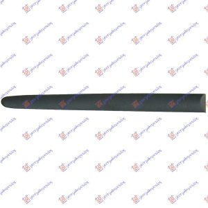 REAR DOOR SIDE MOULDING