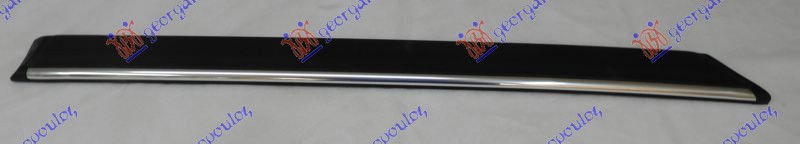 REAR DOOR SIDE MOULDING