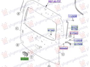 TAIL GATE HANDLE OUTER