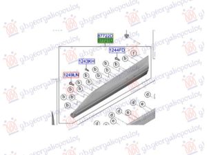 FRONT DOOR SIDE MOULDING (O)
